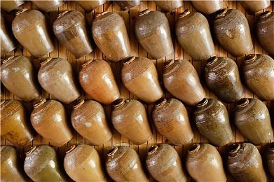 曝《艾尔登法环》电影导演曾主动撰写百页剧本 终获官方认可！