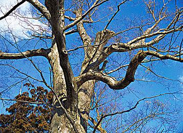 《逃离塔科夫》即将删档  网易UU加速器助你最低Pin狂欢至最后一秒